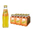 Schweppes Orange in bottiglie di vetro Cl.18×24